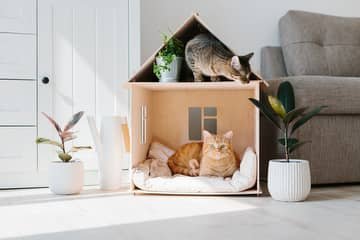 Jak vyrobit domeček pro kočku – kartonový, polystyrenový, proutěný nebo dřevěný na ven i dovnitř