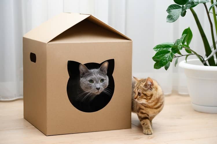 Kartonový domeček pro kočky