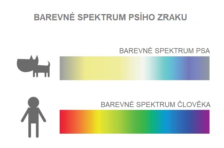 Barevné spektrum psa a člověka