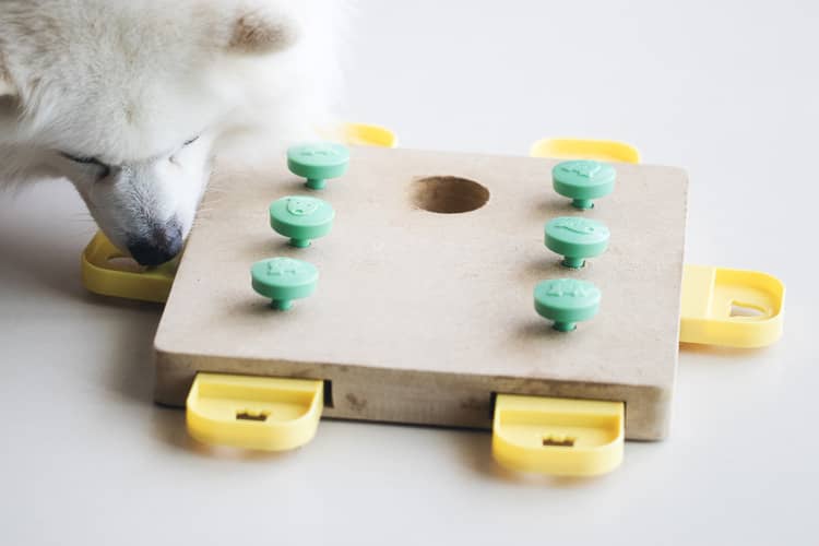 Interaktivní hračka pro psa