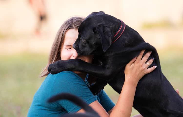 Cane Corso povaha