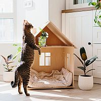 Dřevěný domeček pro kočku